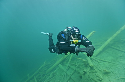 Speciality Diver